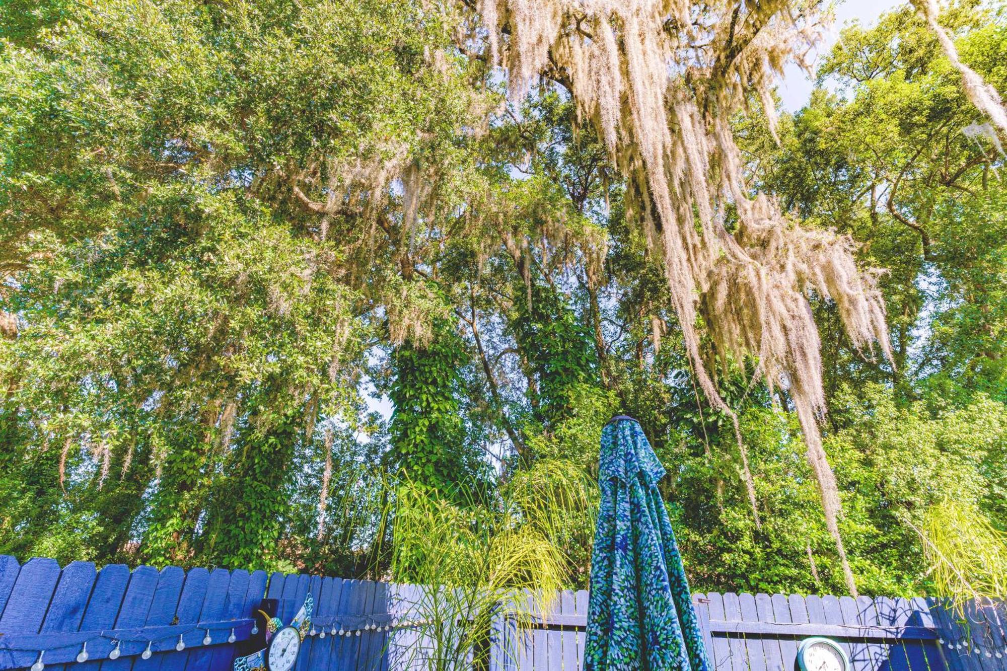 The Estate At Mt Dora Hotell Mount Dora Exteriör bild